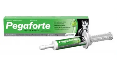 Pharmaceutical Asset